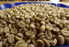 巴西波旁咖啡粉咖啡熟豆 新鲜烘焙半日晒南米纳斯波旁咖啡豆