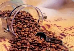 行业探访揭秘：咖啡因的三大减肥原理