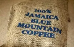 蓝山咖啡 产自牙买加蓝山的咖啡豆