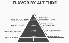 海拔对咖啡品质和风味的影响 为什么海拔越高越好？