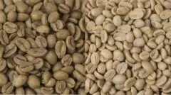 咖啡酸味的由来和形成 咖啡的酸味背后是一个很复杂的问题