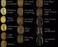 咖啡烘焙师经验总结 咖啡豆烘焙经验分享
