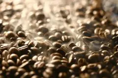 我国咖啡原料出口量再创新高