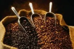 咖啡豆？可可豆？咖啡豆的系统介绍