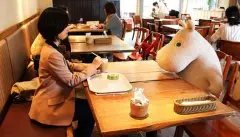 日本“摆脱孤独”咖啡馆 独自用餐不寂寞