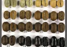 咖啡豆烘焙图文说明从生豆到烘焙不同程度变化