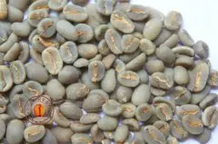 高级咖啡豆:水洗曼特宁Gayo Mountain mandheling