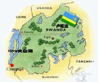 卢旺达咖啡 以其水洗阿拉比卡豆盛名