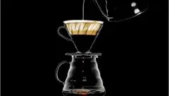 SCAA美国精品咖啡协会 咖啡冲泡黄金水粉比例