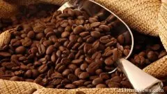 印度尼西亚的咖啡 亚洲区出产最好的咖啡