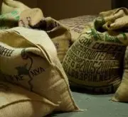 咖啡生豆的正确保存方法 储存在麻袋中的生豆