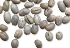 豆形咖啡豆图片（Pea coffee） 咖啡豆