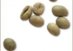 精品豆推荐 爪哇中粒咖啡豆图片（Java Robusta)