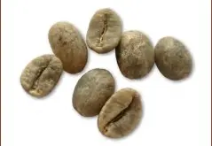 精品豆推荐 尼加拉瓜咖啡豆图片（Nicaragua)