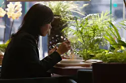 日本兴起“沉默咖啡馆” 咖啡馆推荐