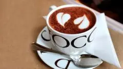 生咖啡豆是由哪些成分构成的呢?