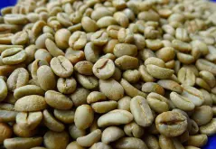 埃塞俄比亚咖啡豆品级分析 埃塞俄比亚咖啡豆分为五级