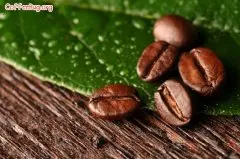 咖啡豆的保存 影响咖啡豆的三大要素