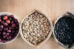 如何成为一颗精品咖啡豆 什么豆子是精品咖啡豆？