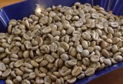 世界主要咖啡豆产地 各国各种著名咖啡豆特点风味口感分级烘焙度简介
