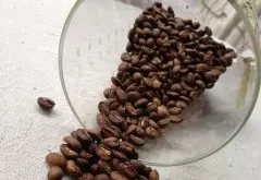 咖啡生豆的分级 咖啡生豆分级的方法有两种