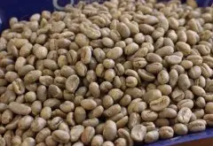 埃塞俄比亚咖啡豆等级制度简述 咖啡豆常识