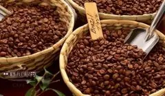怎样鉴别咖啡豆的好坏 如何选择好的咖啡豆