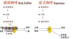 分析咖啡在中国的现状 在中国市场存在的价廉咖啡豆销售？