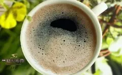 咖啡冻的做法 用咖啡做零食的配方