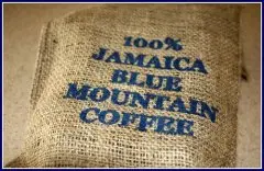 蓝山咖啡的发展历程 种植地理条件  优质的咖啡豆
