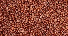 咖啡豆的功效 咖啡豆的作用 咖啡豆的制作技巧 咖啡豆的禁忌 咖啡