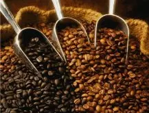 咖啡烘焙的阶段特征 烘焙咖啡的阶段详解 烘焙咖啡特征 咖啡烘焙