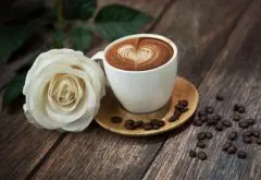 喜欢咖啡？ 教你喝咖啡的那些小诀窍 咖啡 健康 咖啡豆 咖啡粉 咖