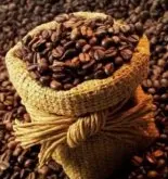 咖啡分为两个品种：Arabica 和 Robusta 咖啡的分类介绍 咖啡分为