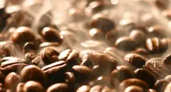教你如何甄选咖啡豆 如何挑选咖啡豆？ 如何选择咖啡豆？ 哪种咖