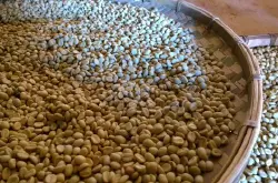 蓝山咖啡 蓝山牙买加咖啡 蓝山风味 蓝山咖啡豆 蓝山咖啡豆的历史