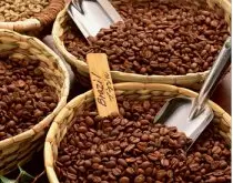 玻利维亚精品咖啡 波多黎各 巴西 巴西精品咖啡的产地 咖啡豆的产