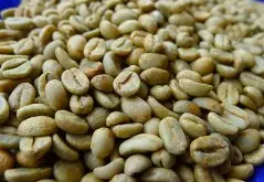 云南咖啡庄园产区 云南精品咖啡 咖啡豆 咖啡烘焙 云南精品咖啡庄