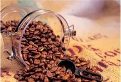 它是如何从一粒种子变为杯中美味的？ 咖啡豆种植园 咖啡种植过程