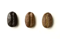 咖啡豆 波旁 波旁家族的变种们 基因突变种 肯尼亚 黄波旁 卡杜拉