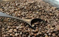精品咖啡豆生产地美属波多黎各 波多黎各精品咖啡风味 波多黎各精