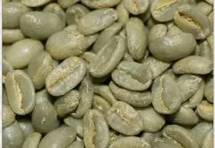 瑰夏精品咖啡豆的介绍 瑰夏精品咖啡豆的独特风味 瑰夏精品咖啡豆