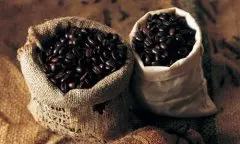 云南精品咖啡 一种经济价值很高的饮料作物 云南精品咖啡特点 云