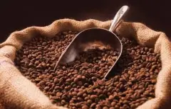 哥斯达黎加精品咖啡 美洲特产哥斯达黎加精品咖啡 质量最好的咖啡