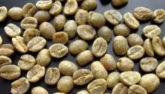 肯尼亚精品咖啡生豆 Kenya AA green bean 精品咖啡 精品咖啡风味