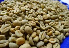 埃塞俄比亚耶加雪菲日晒班其马吉咖啡豆 精品咖啡 班其马吉咖啡风