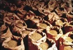 危地马拉精品咖啡豆等级分类 危地马拉精品咖啡的种类 危地马拉精