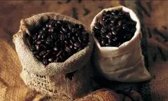 精品咖啡豆介绍——云南咖啡 云南咖啡产地 云南咖啡介绍 云南咖