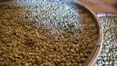 刚刚采摘的咖啡豆怎么烘焙？ 咖啡豆烘焙心得 咖啡豆烘焙方法 咖