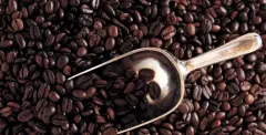 精品咖啡豆——埃塞俄比亚精品咖啡介绍 埃塞俄比亚咖啡的特点 埃